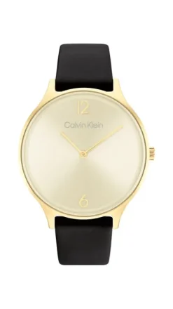 Jemp Guld Calvin Klein^Calvin Klein Timeless 2h